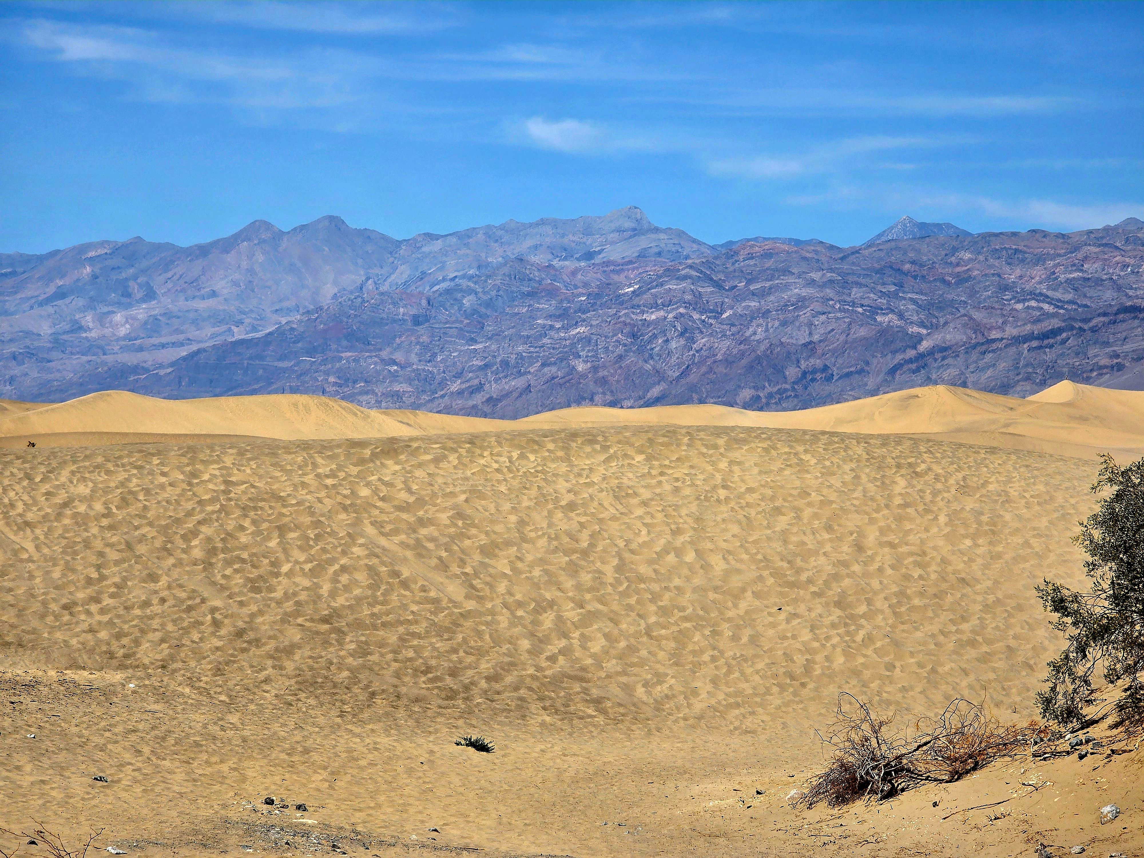 Mesquite Flat Sand Dunes